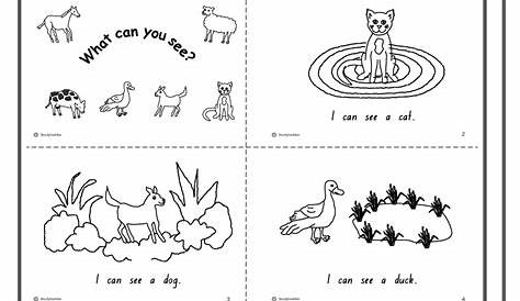 What Can You See? -Student Booklet - Studyladder Interactive Learning Games