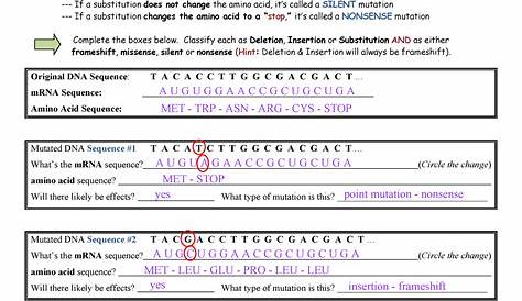 Bio-Worksheet-Mutations - NAME