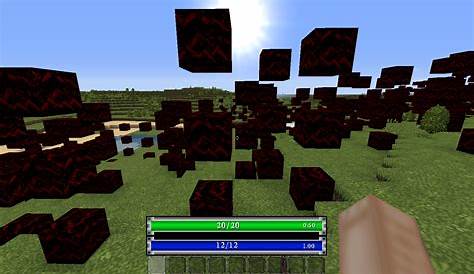 Schematic Minecraft Forge