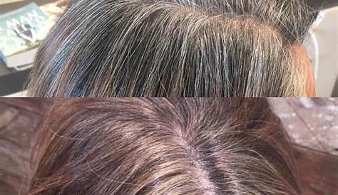 e salon hair color gray coverage