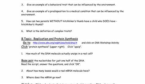 protein synthesis worksheets key