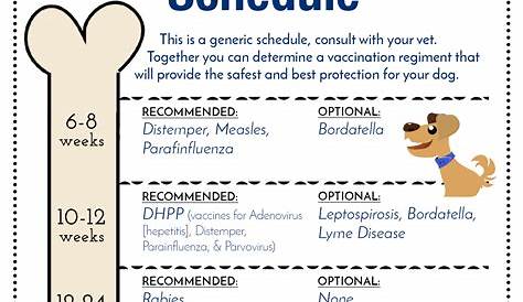 Dog Vaccination Schedule | Examples and Forms