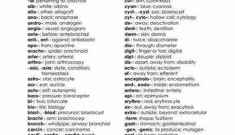 medical terminology worksheet answers