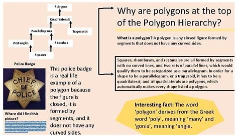hierarchy of polygons chart