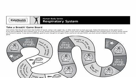 human respiratory system worksheet