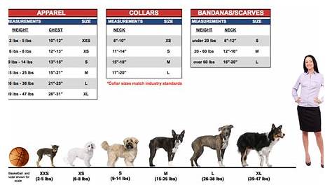 Big, Medium & Small Dog Breeds by Size & Personality √ Dog Size Chart