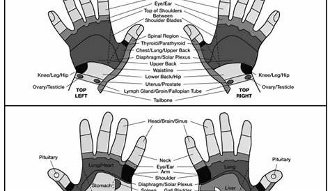 reflexology chart hand and foot