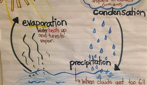 water cycle anchor chart