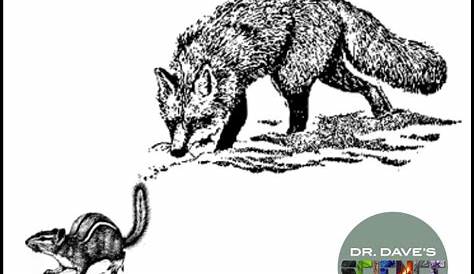 predator prey relationships worksheet answers
