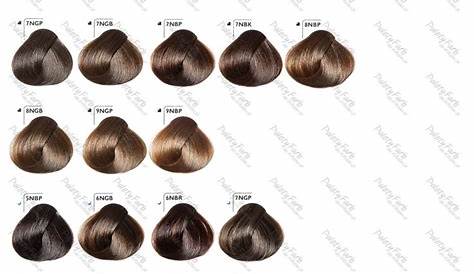 goldwell hair color swatches chart