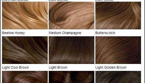 Best Hair Brown Medium Color Charts | Capelli castani, Acconciature
