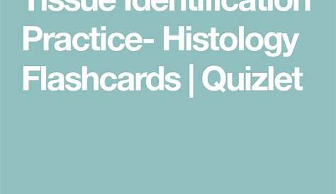 Tissue Identification Practice- Histology Flashcards | Quizlet
