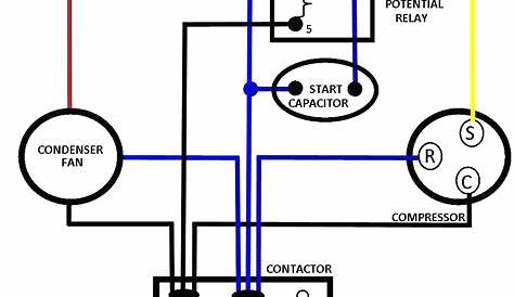 Electric Motor Capacitor Wiring Diagram - Free Wiring Diagram