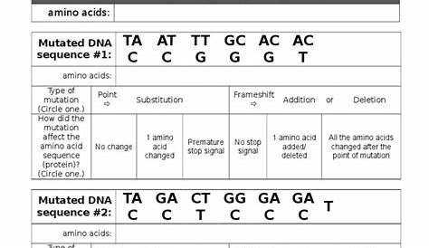 genetic mutations worksheet answer key