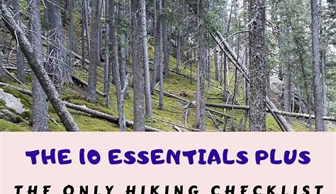 printable nature trail checklist