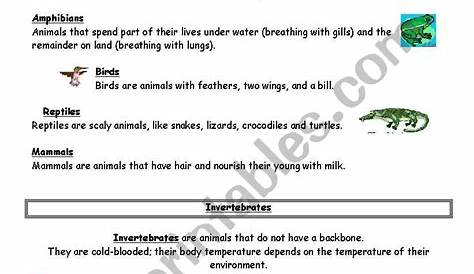 vertebrates / invertebrates - ESL worksheet by danscic