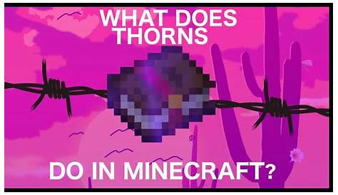 what is thorns in minecraft