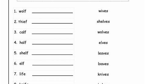 50 Singular And Plural Nouns Worksheet