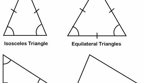 types of triangles worksheet