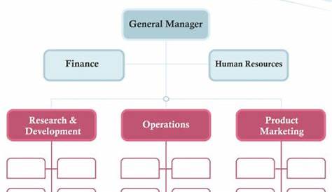 functional org chart template