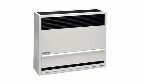 Williams 30,000 BTU/Hr Direct-Vent Furnace Natural Gas Heater with Wall