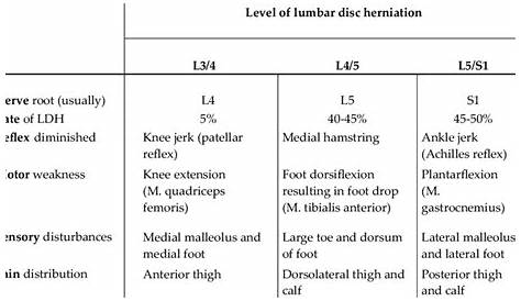 -Clinical presentations of lumbar disc herniation 24 | Download Table