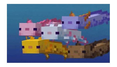 Minecraft Axolotl Spawn Egg - Minecraft axolotls generated randomly