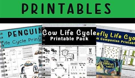 animal life cycle printables