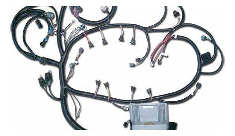 s10 v8 conversion wiring harness