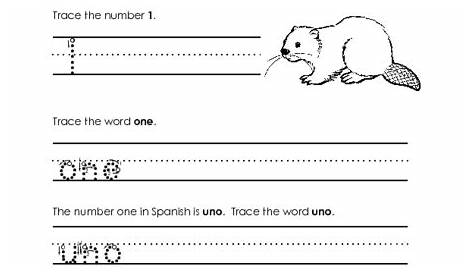 spanish 1 worksheets