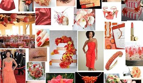 coral colour scheme | Coral color schemes, Coral color, Color schemes