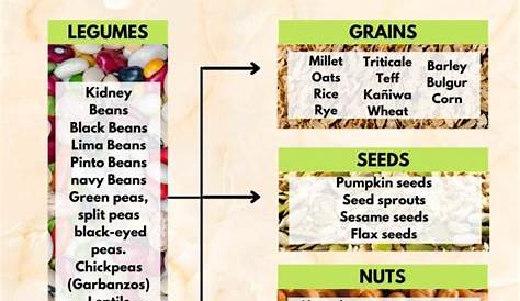 Complete Proteins Combinations (Chart + Guide For Vegans)