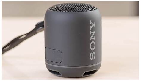 Sony SRS-XB12 Review - RTINGS.com