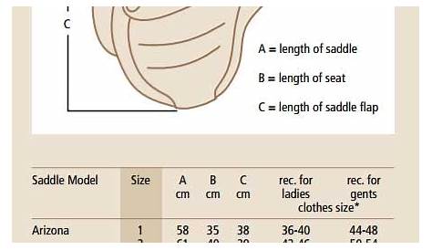 horse girth size chart