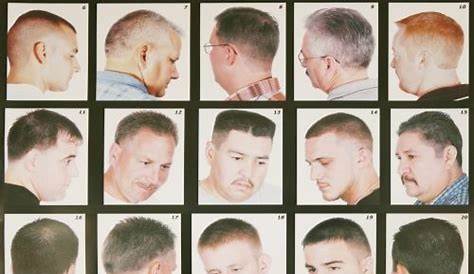 26+ Barber Hairstyles Chart - Hairstyle Catalog