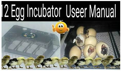 Kebonnixs 12 Egg Incubator User Manual