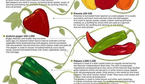 green hot peppers identification chart