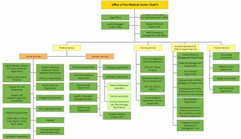 Hospital Organizational Chart Explained with Examples | EdrawMax Online