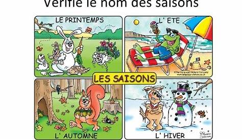 les saisons de l'année en français