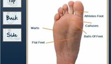 foot pain location chart