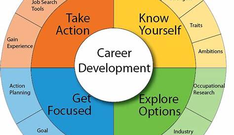 What Is The Meaning of Career Development? – BMS | Bachelor of