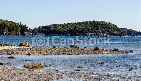 Tidal pools at low tide in bar harbor. Low tide with tidal pools near