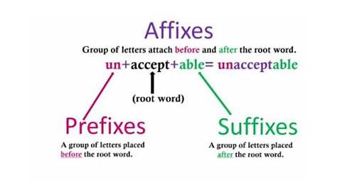 A Study Of Biological Prefixes And Suffixes Answers - Study Poster