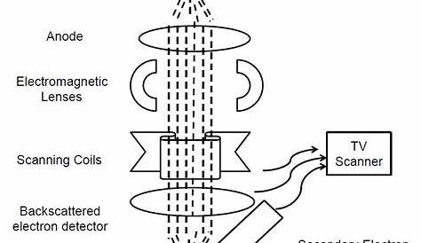 electron microscope schematic diagram