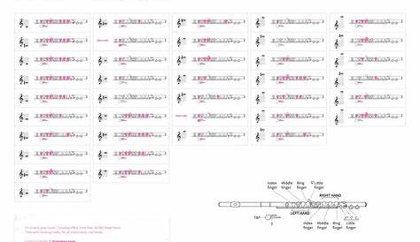 Flute fingering chart - Interactive tool for all flute players