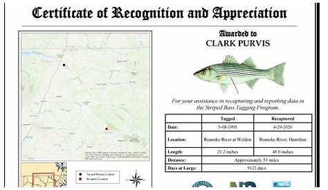 nc fish citation sizes