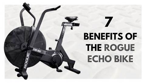 Interval Workouts For The Rogue Echo Bike - Heatonminded