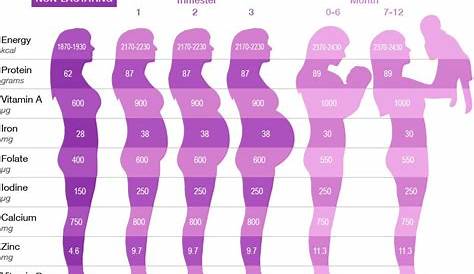 19 Awesome Baby Size Chart By Week