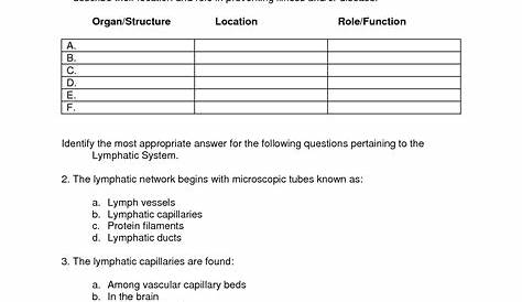 lymphatic system worksheet answers