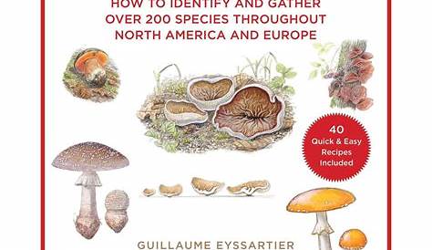 wild mushroom identification chart